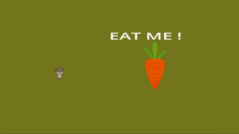 Through the Looking Glass: A Reflection Puzzle Image