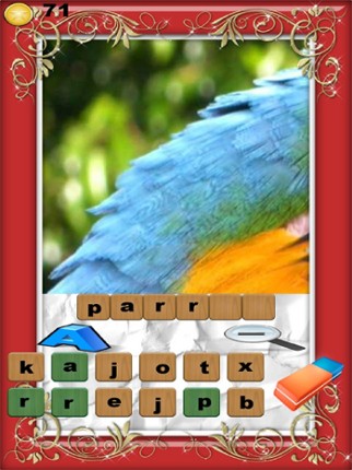 Zoom Photo Game screenshot