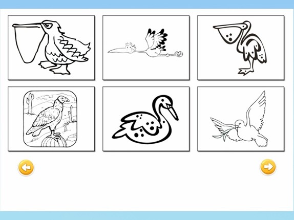 Bird Coloring Book : Finger Painting for Adults and Kids screenshot
