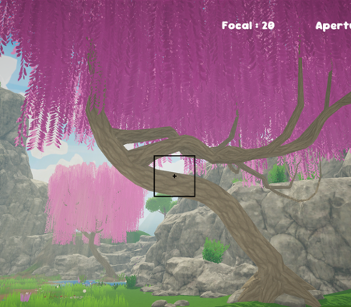 Depth of Field Image