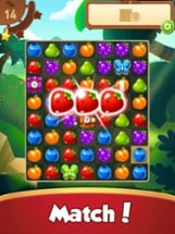 Fruits Master : Match 3 Puzzle Image