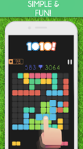 1010! Block Puzzle Game Image