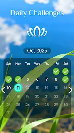 Jigmatch - Zen Puzzle screenshot