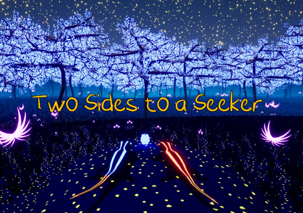 Two Sides to a Seeker Image