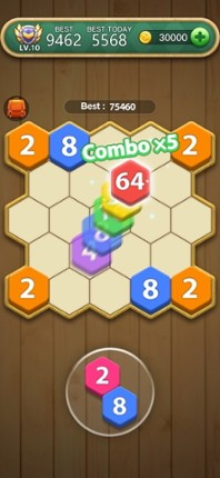 Hexa Number Puzzle screenshot