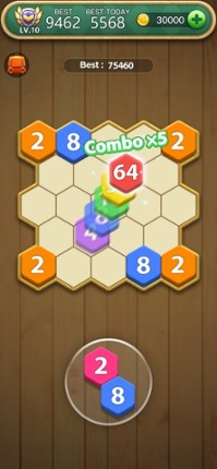 Hexa Number Puzzle Image