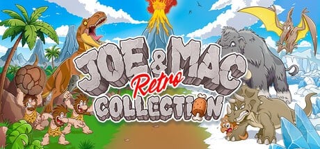 Games like Joe & Mac Retro Collection