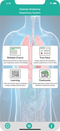 Anatomy : Respiratory System Image