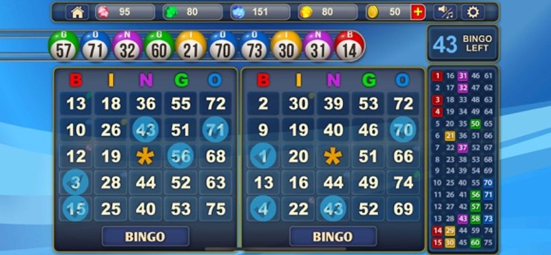 Bingo!! screenshot