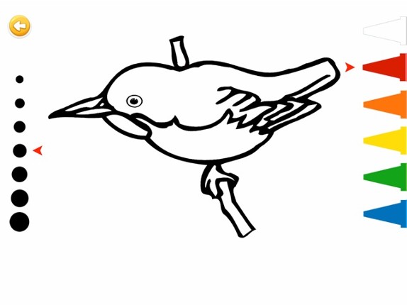 Bird Coloring Book : Finger Painting for Adults and Kids screenshot