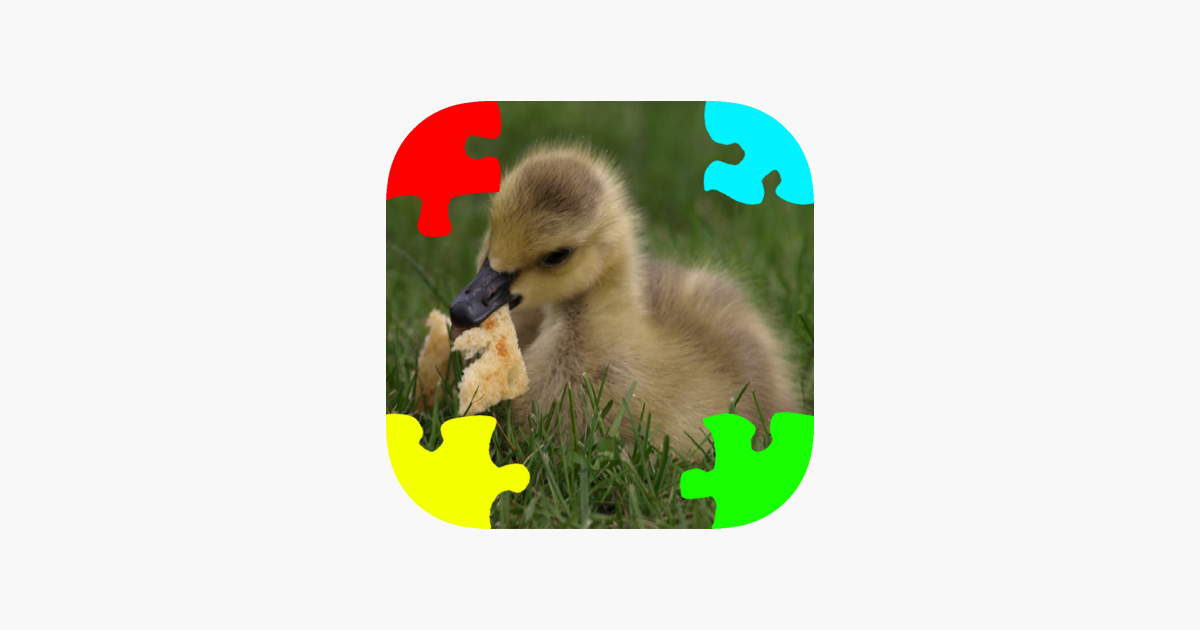 Games like Ducklings, Goslings Jigsaw Puzzles