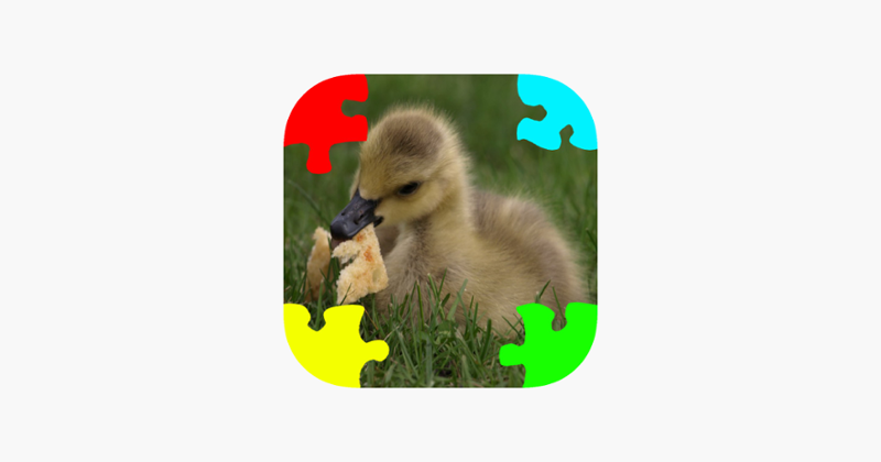 Ducklings, Goslings Jigsaw Puzzles Image