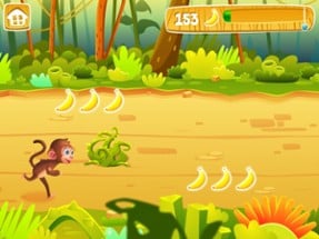 Math Jungle : Kindergarten Math Image