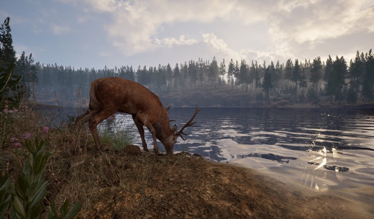 Online: 404 screenshot