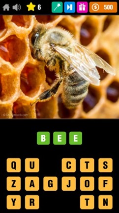 Pics Quiz Trivia - Fun Top Word Guess Games Image