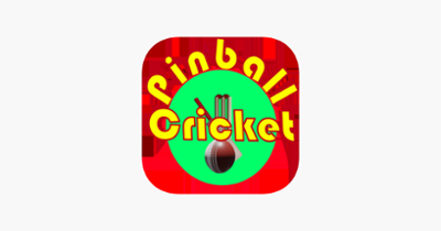 PinBall Cricket Image