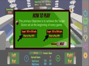 PinBall Cricket Image