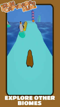 CAPYBARA RUN Image
