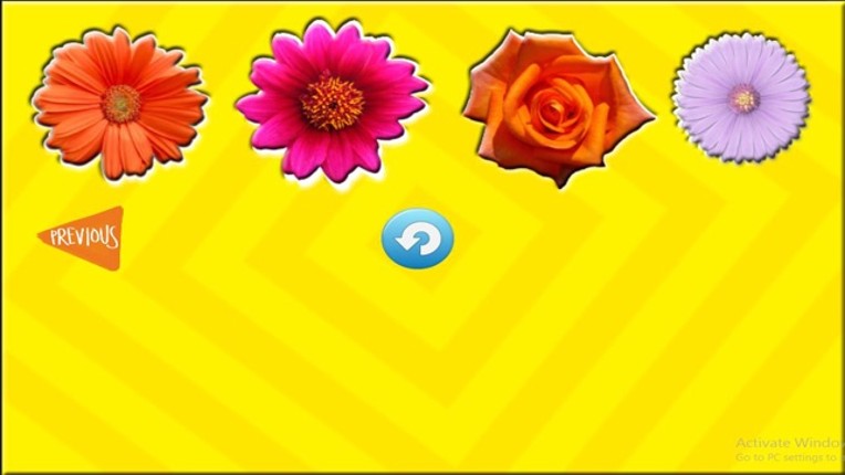 Fun Learning Flower Shapes Sorting game for kids screenshot