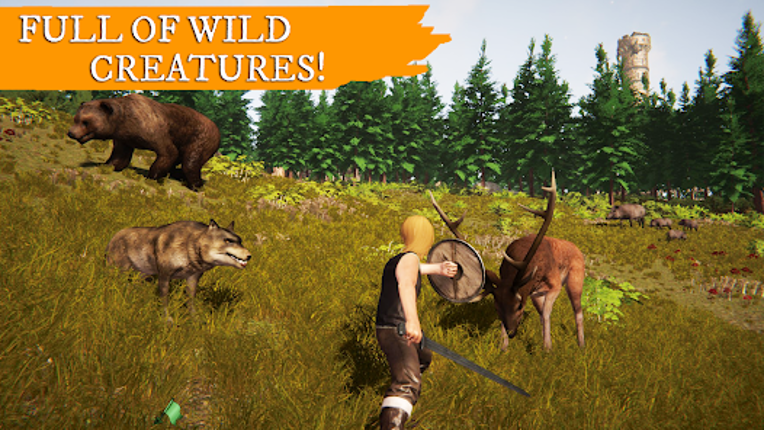 School of dragons: Dragon game Image