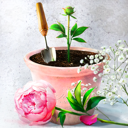Floria virtual garden Image