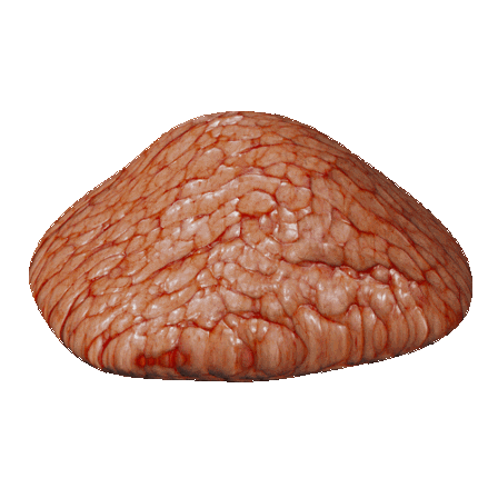 You have perfect skin Image
