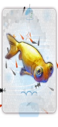Goldfish scooping festival screenshot