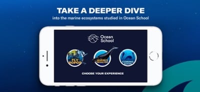 Ocean School Image