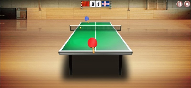 Table Tennis Master 3D screenshot