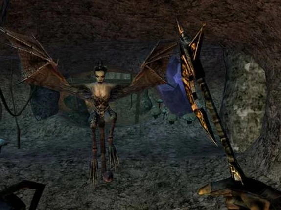 The Elder Scrolls III Morrowind Image