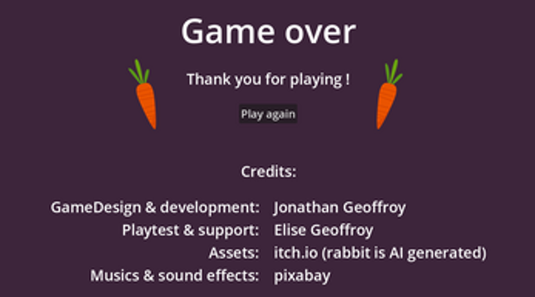 Through the Looking Glass: A Reflection Puzzle Image