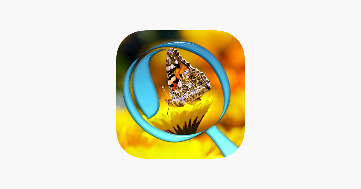 Games like Zoom Photo Game