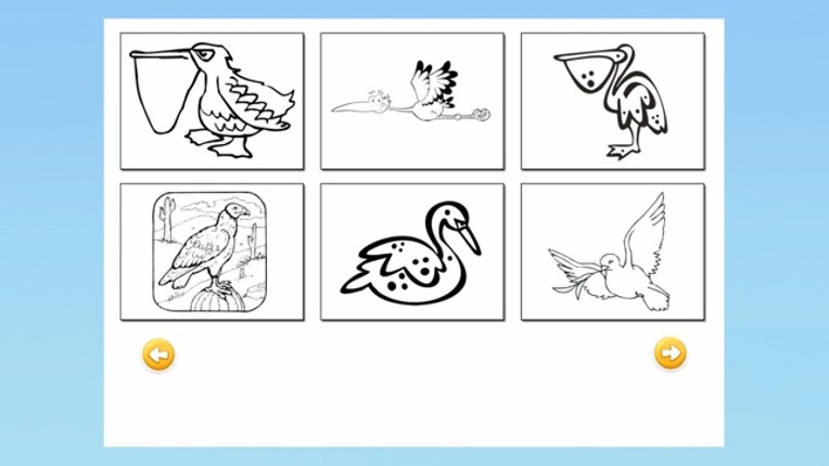 Bird Coloring Book : Finger Painting for Adults and Kids screenshot