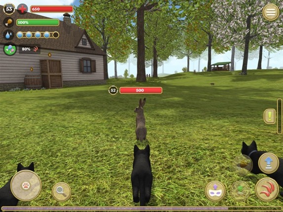 Cat Simulator 2020 Image