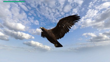 Eagle Hunting Journey Image