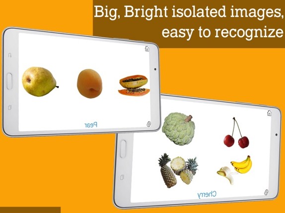 Montessori Fruits, let's learn fruits the easy way screenshot