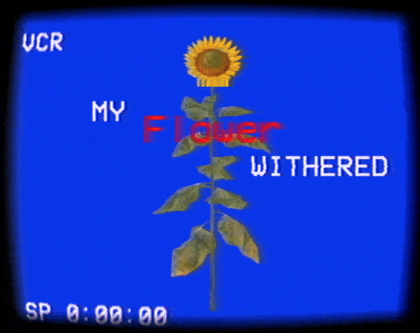Games like My Flower Withered