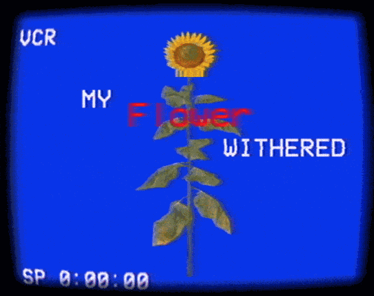 My Flower Withered Game Cover