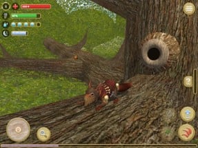 Squirrel Simulator 2 : Online Image