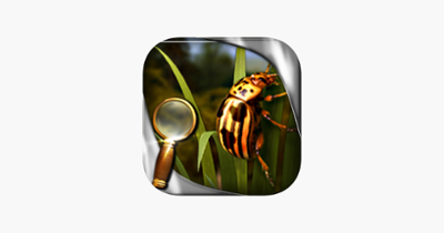 Treasure Island - The Golden Bug - Extended Edition - A Hidden Object Adventure Image