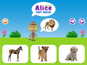 World of Alice - Baby animal Image