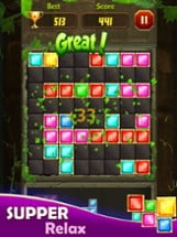 Block Puzzle: Jewel Blast 1010 Image