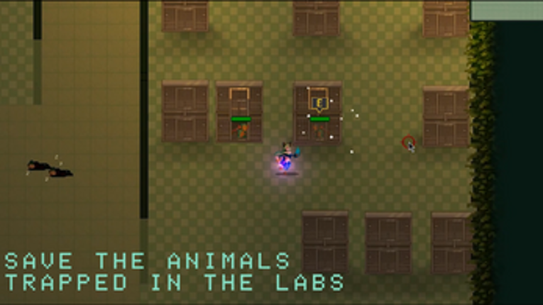 Spirit Of The Animals Image