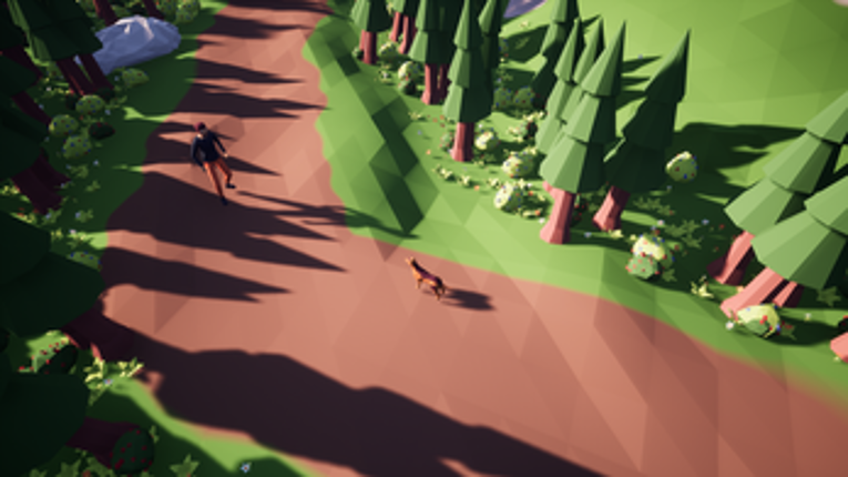 Lost Dog Image
