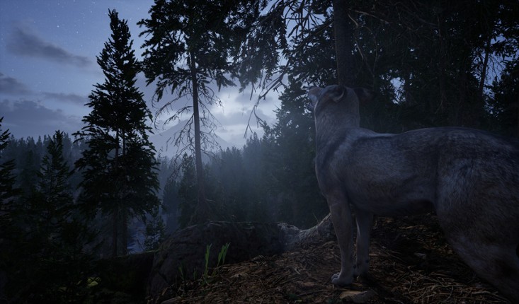 Online: 404 screenshot