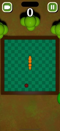 Snake 3D Game screenshot