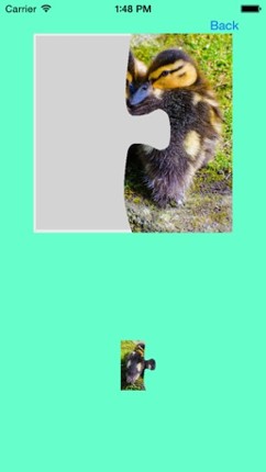 Ducklings, Goslings Jigsaw Puzzles screenshot