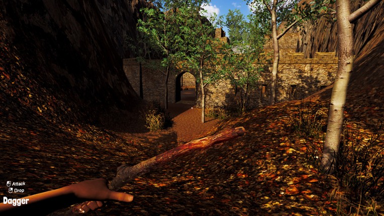 Finding Cool Sticks Image