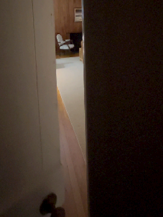 EXCUSE ME SIR (DEMO) screenshot