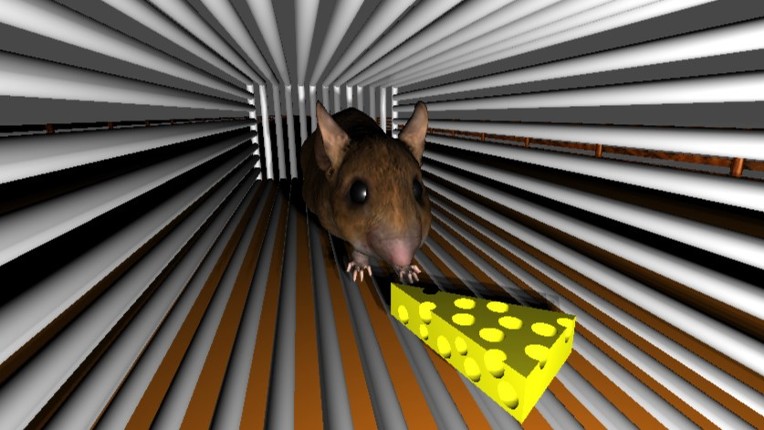 Mice Image